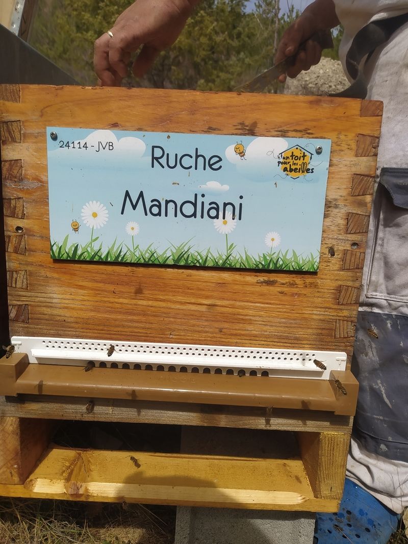 La ruche Mandiani