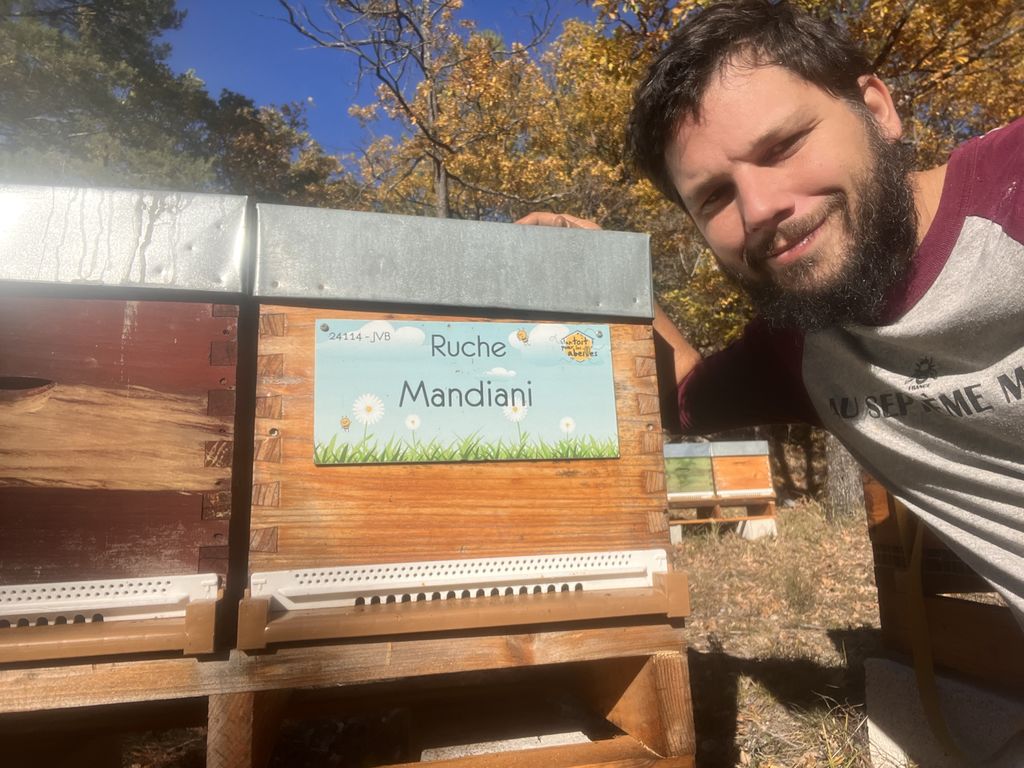 La ruche Mandiani