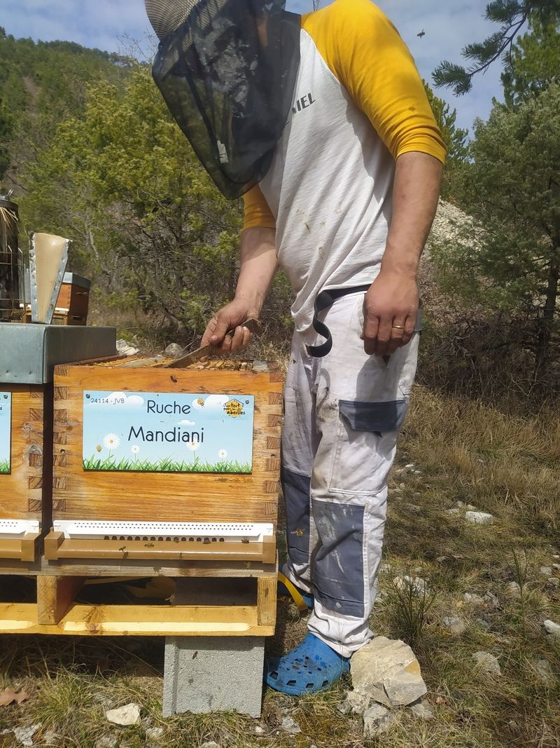 La ruche Mandiani
