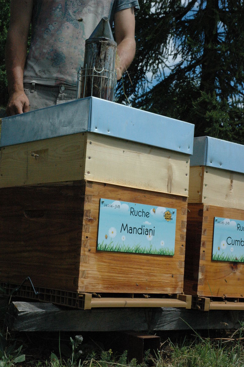 La ruche Mandiani 