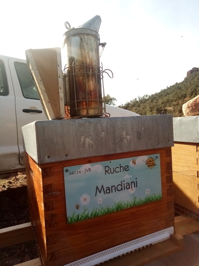 La ruche Mandiani