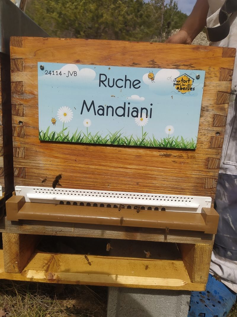 La ruche Mandiani