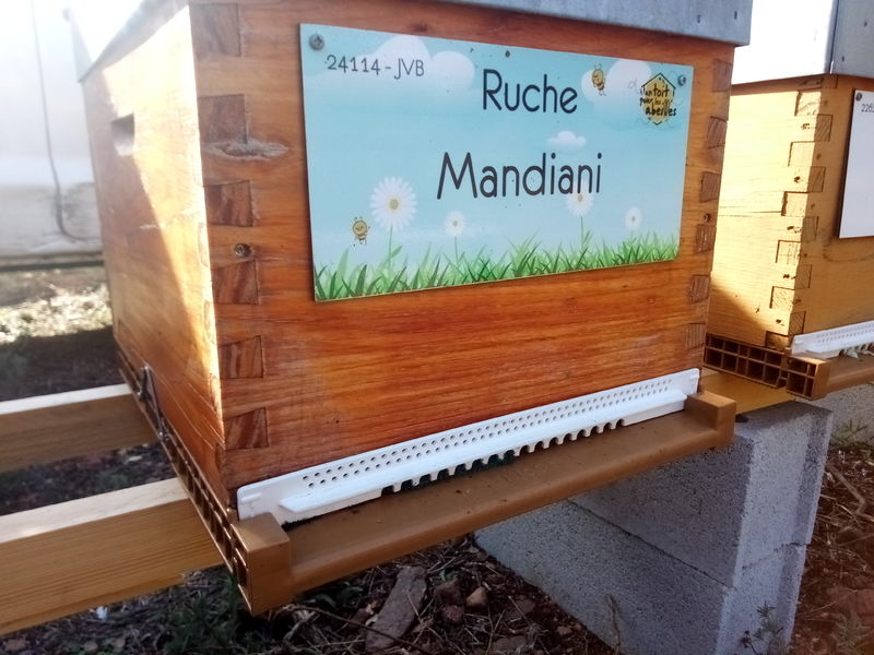 La ruche Mandiani