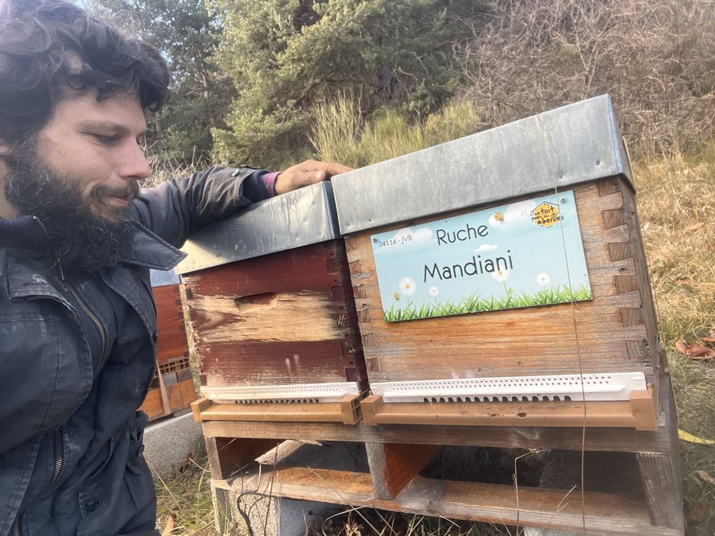 La ruche Mandiani