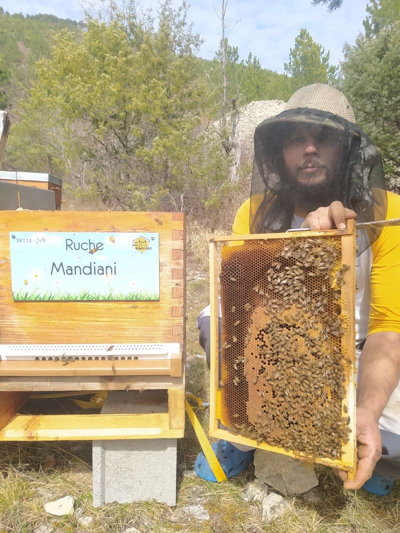 La ruche Mandiani 