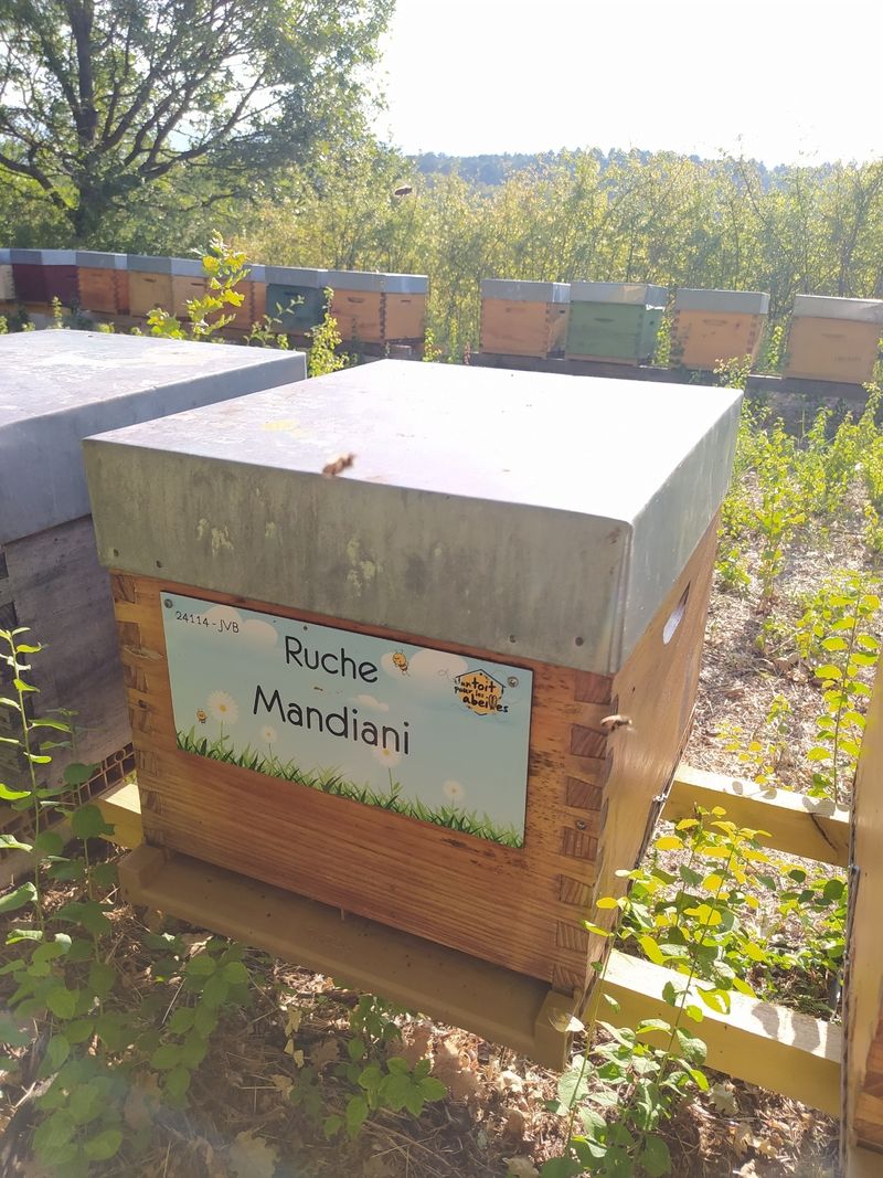 La ruche Mandiani 