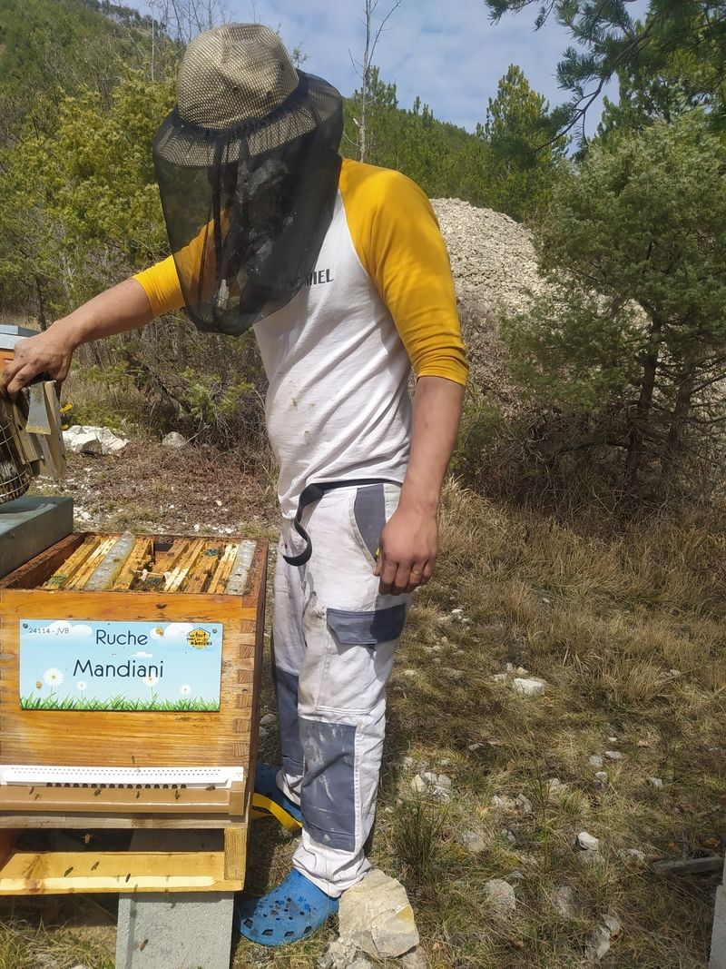 La ruche Mandiani