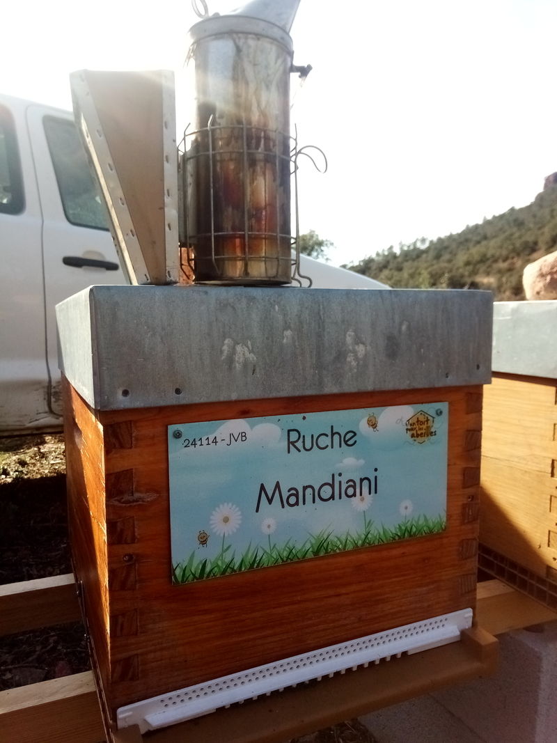 La ruche Mandiani