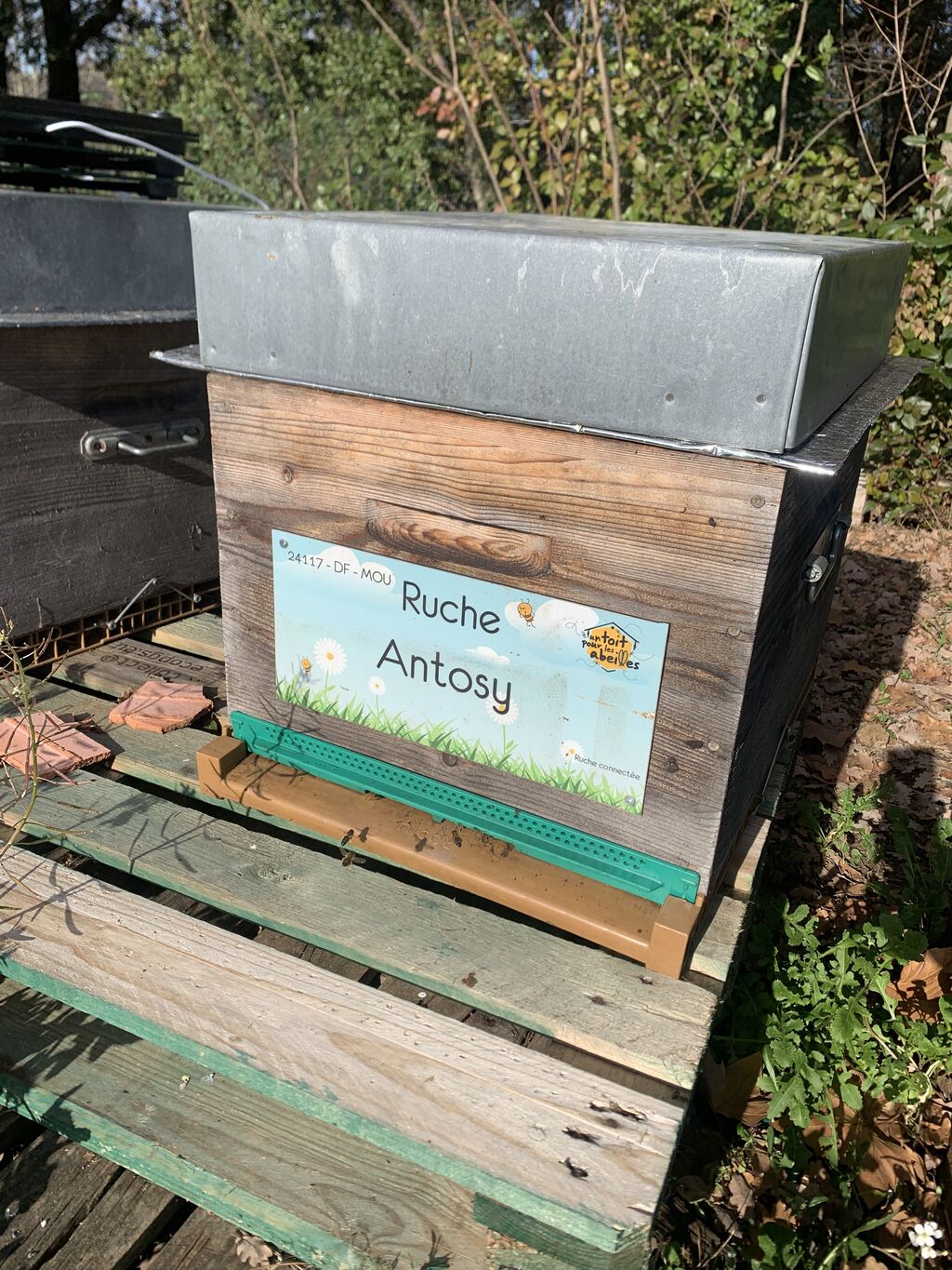 La ruche Antosy 