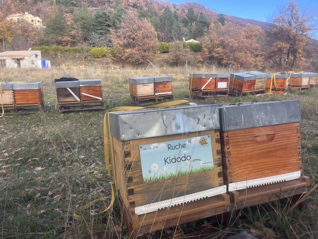 La ruche Kidodo