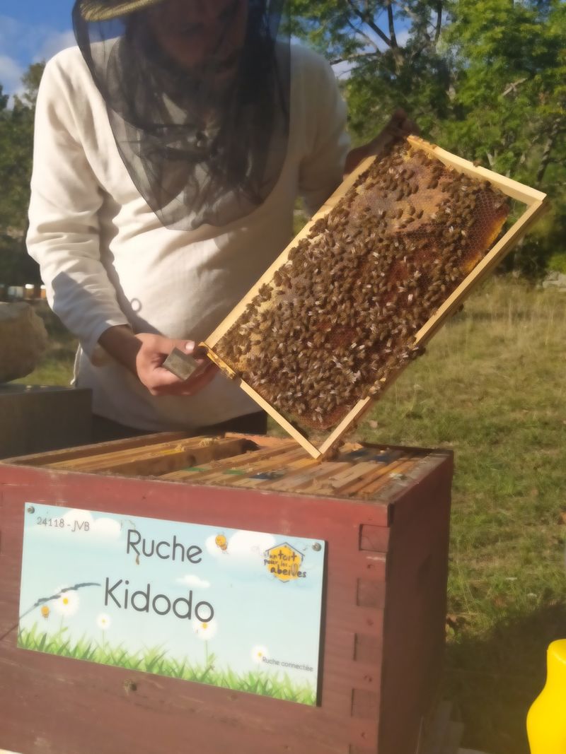 La ruche Kidodo 