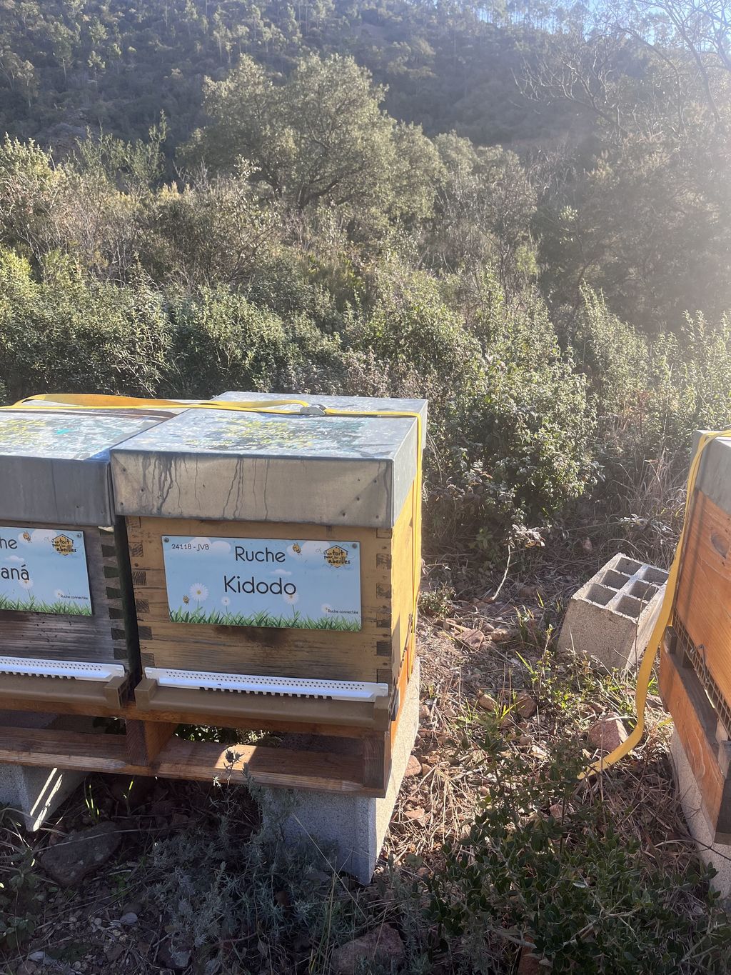 La ruche Kidodo