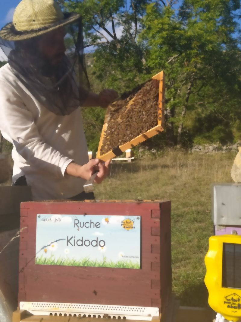 La ruche Kidodo