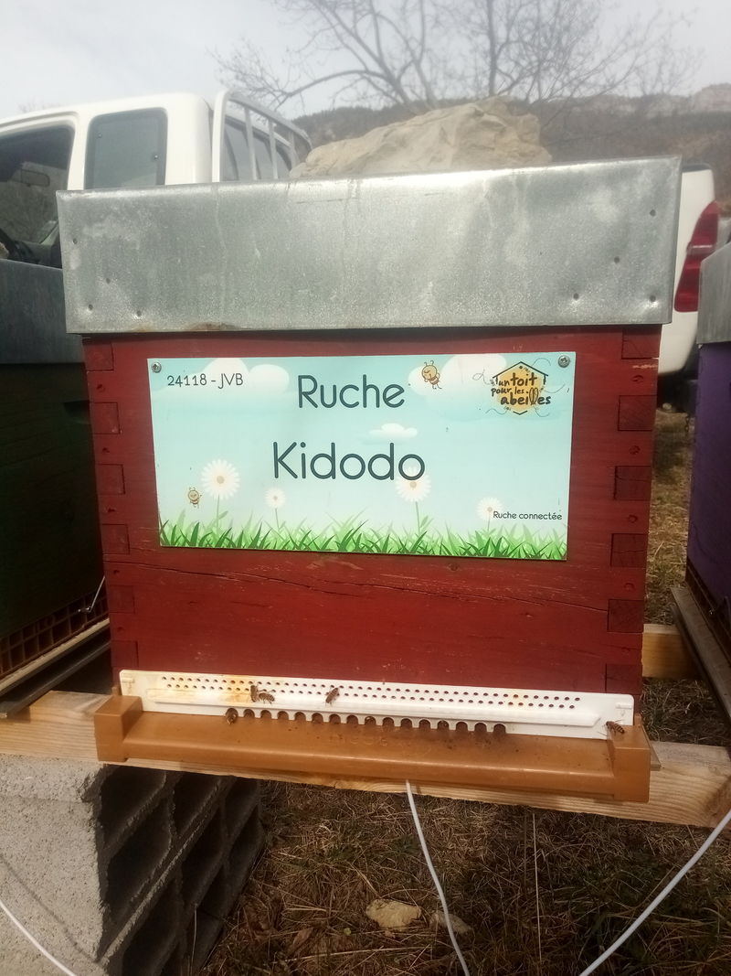 La ruche Kidodo