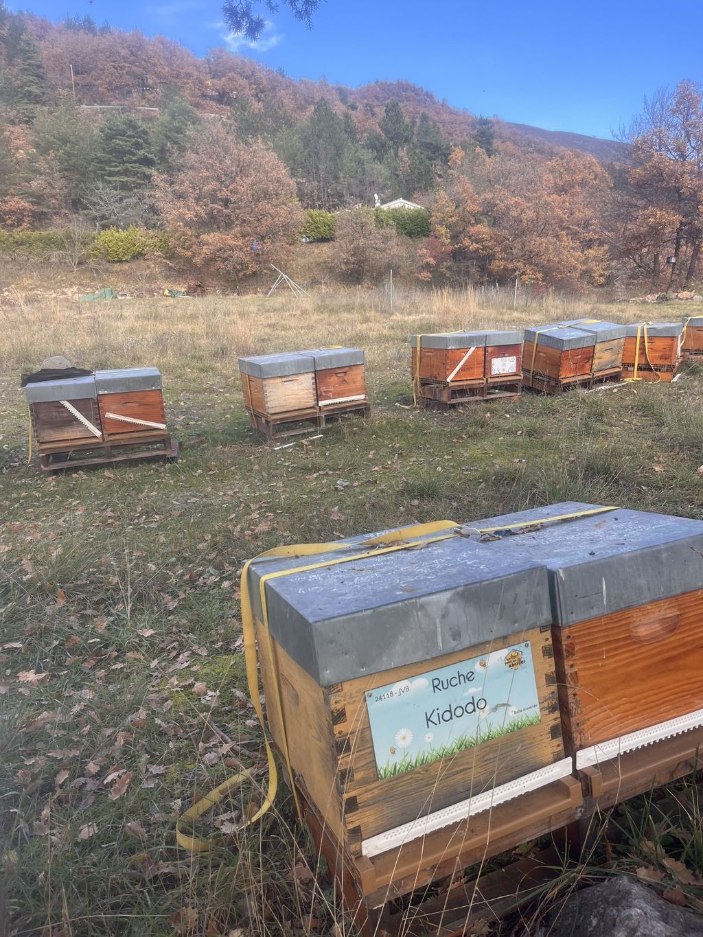 La ruche Kidodo