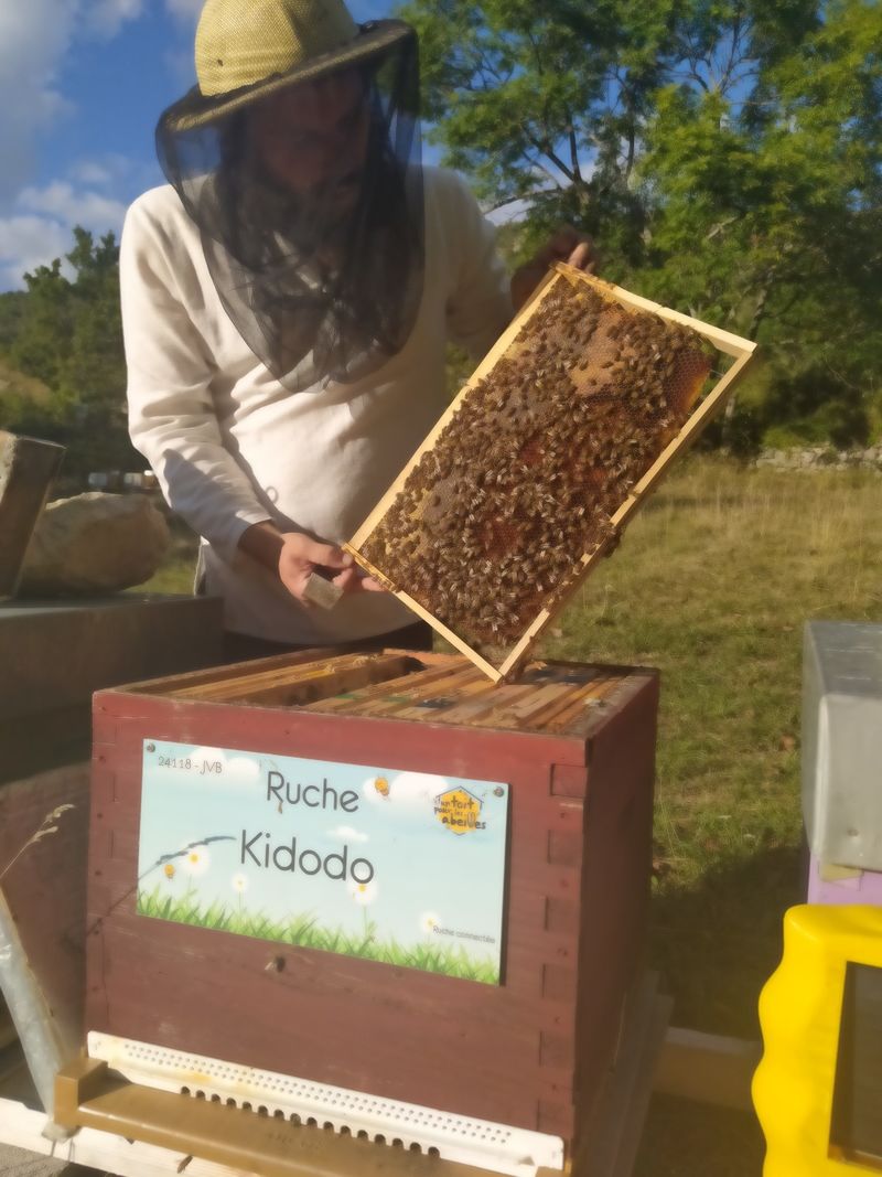 La ruche Kidodo