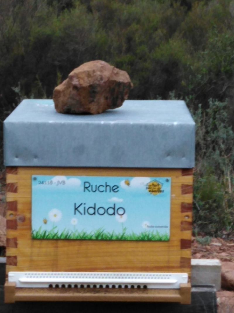 La ruche Kidodo