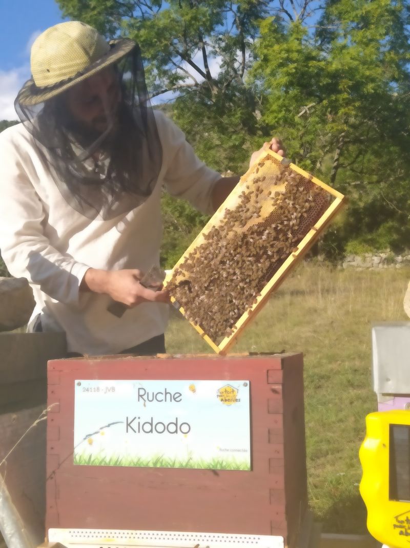 La ruche Kidodo 