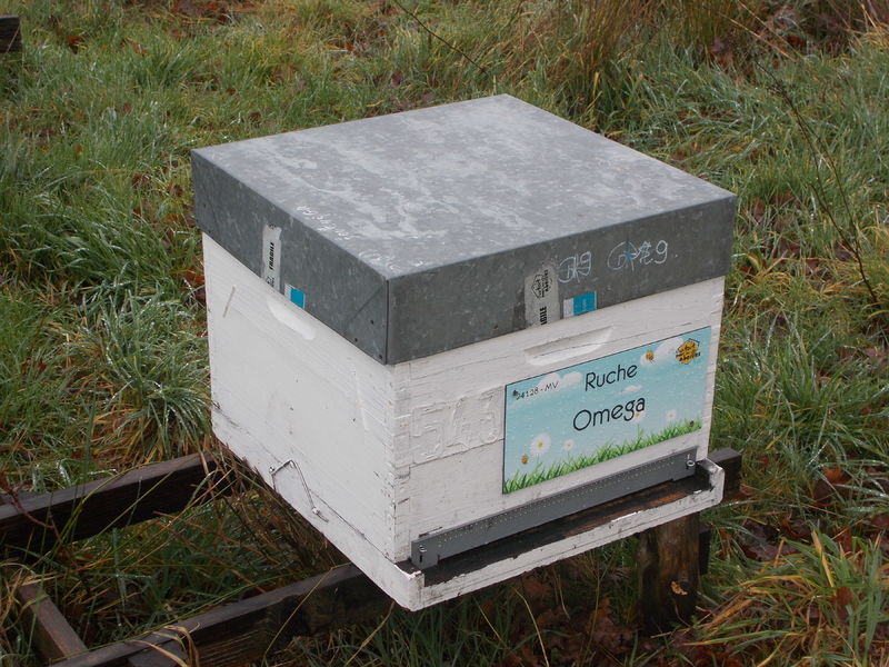 La ruche Omega