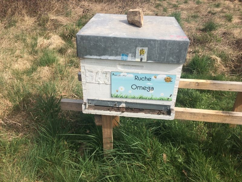La ruche Omega