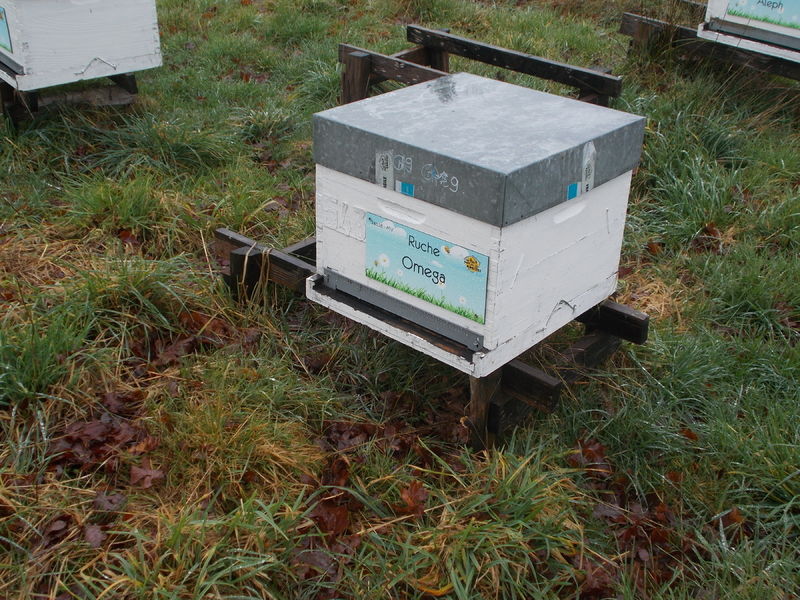 La ruche Omega