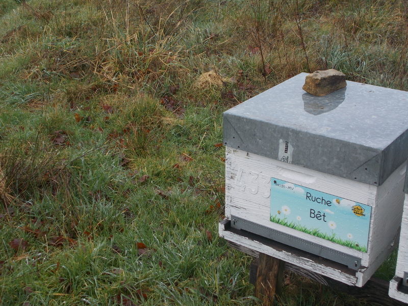 La ruche Bêt