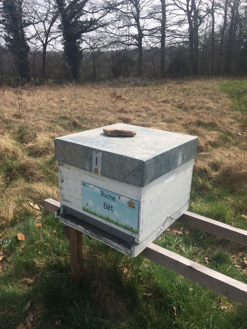 La ruche Bêt
