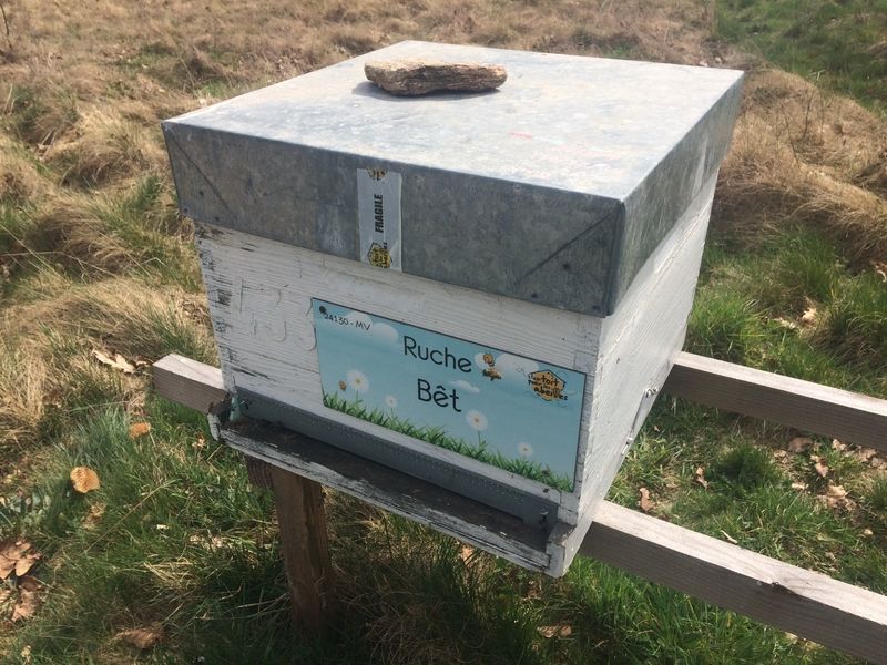 La ruche Bêt