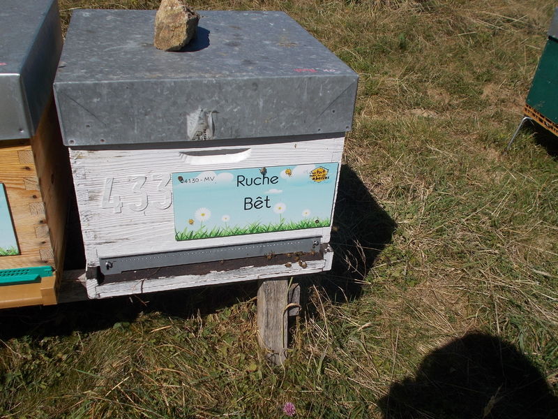 La ruche Bêt