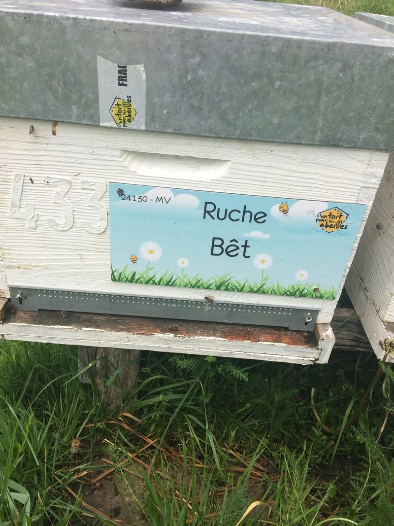 La ruche