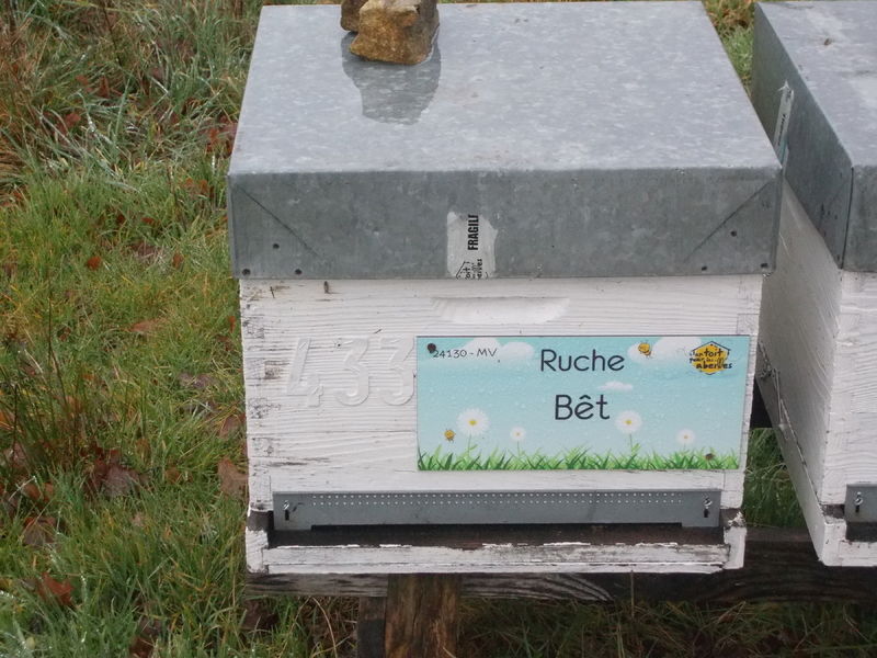 La ruche Bêt