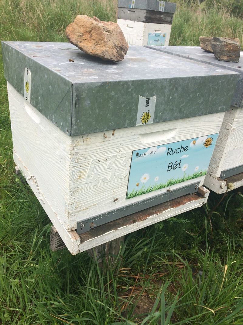 La ruche Bêt