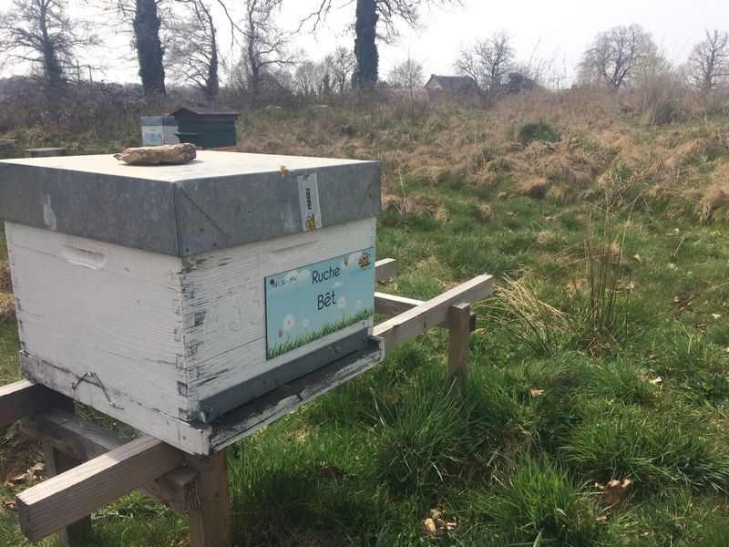 La ruche Bêt