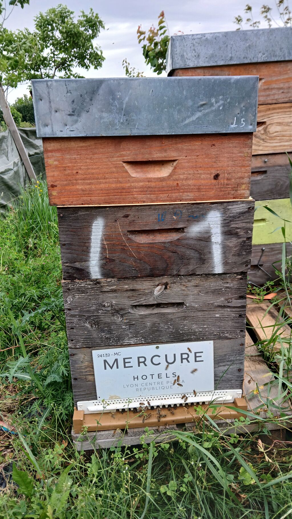 La ruche MERCURE LYON CENTRE PLAZA REPUBLIQUE