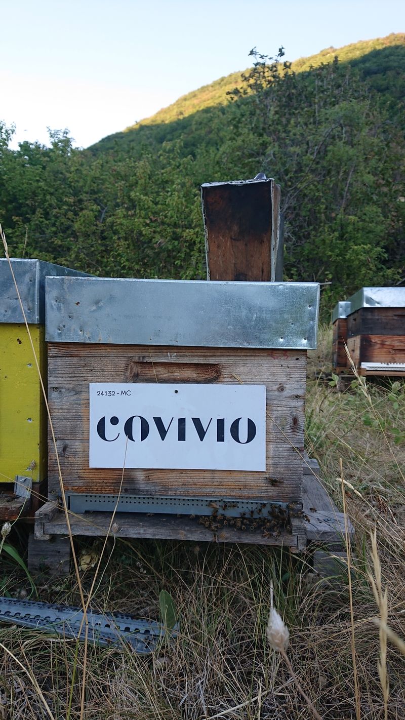 La ruche COVIVIO