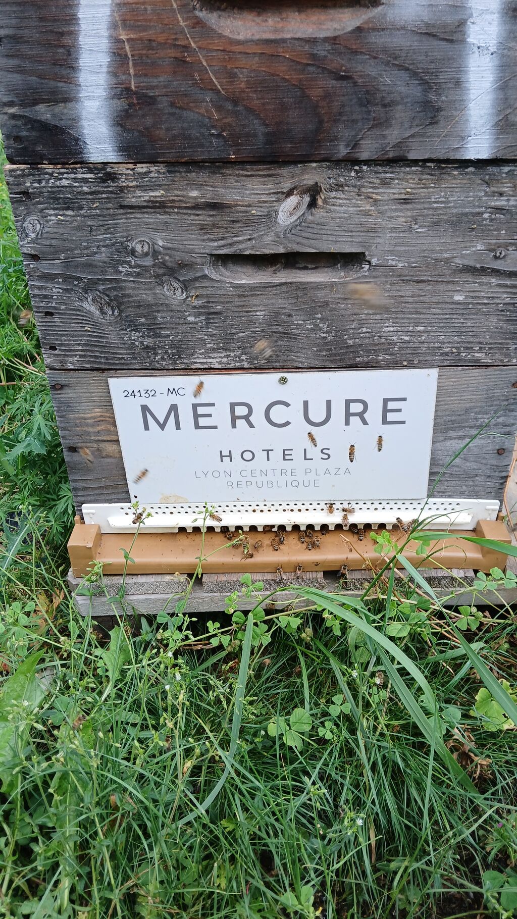 La ruche MERCURE LYON CENTRE PLAZA REPUBLIQUE