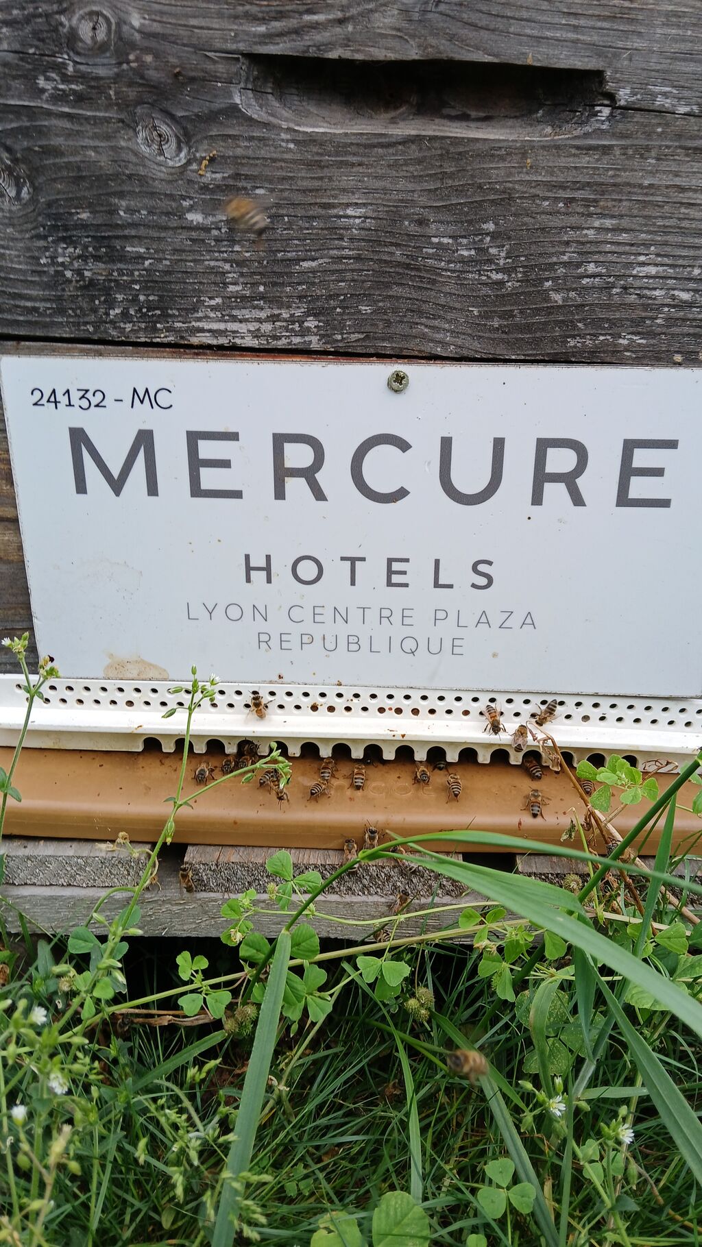 La ruche MERCURE LYON CENTRE PLAZA REPUBLIQUE