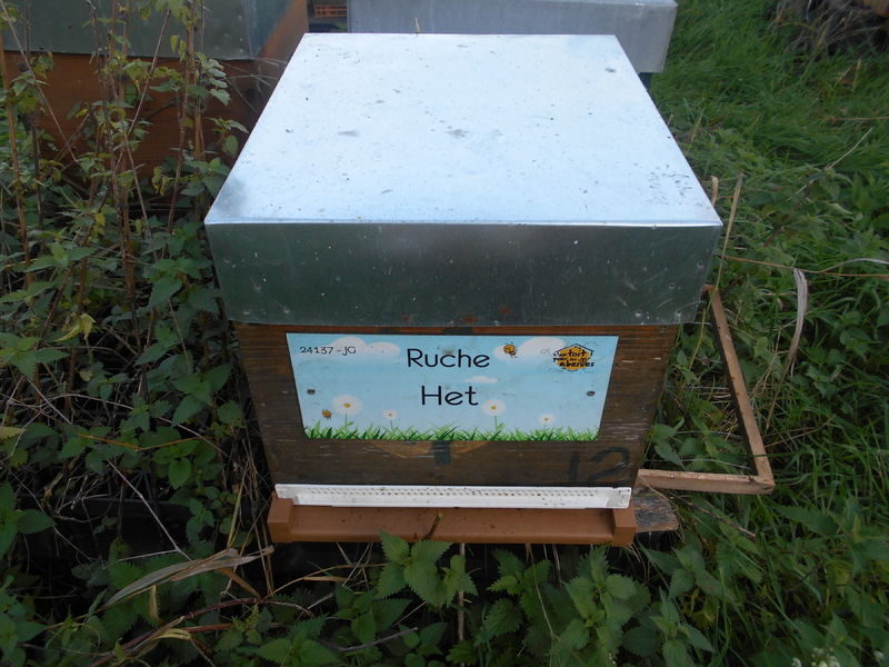 La ruche Het