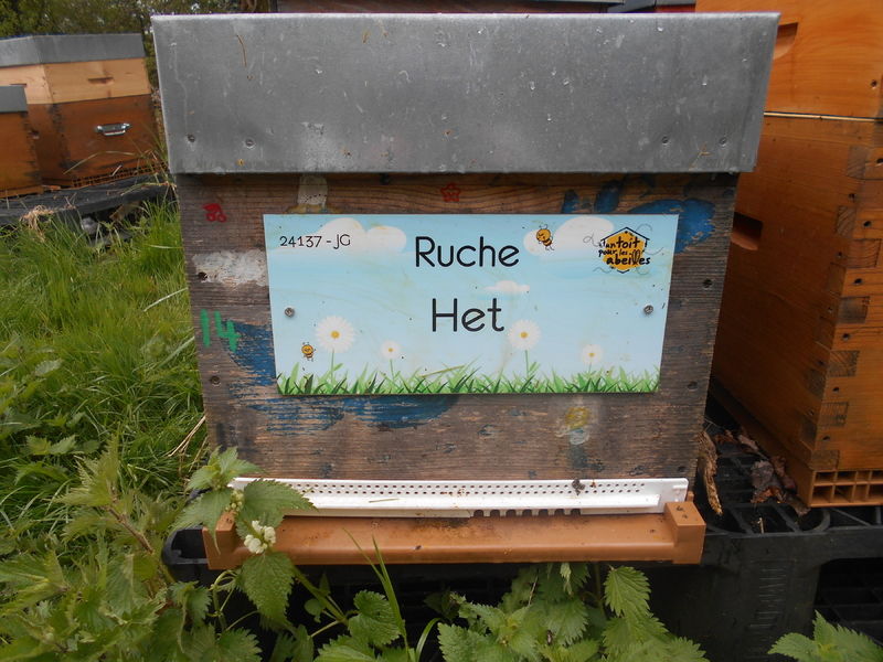 La ruche Het