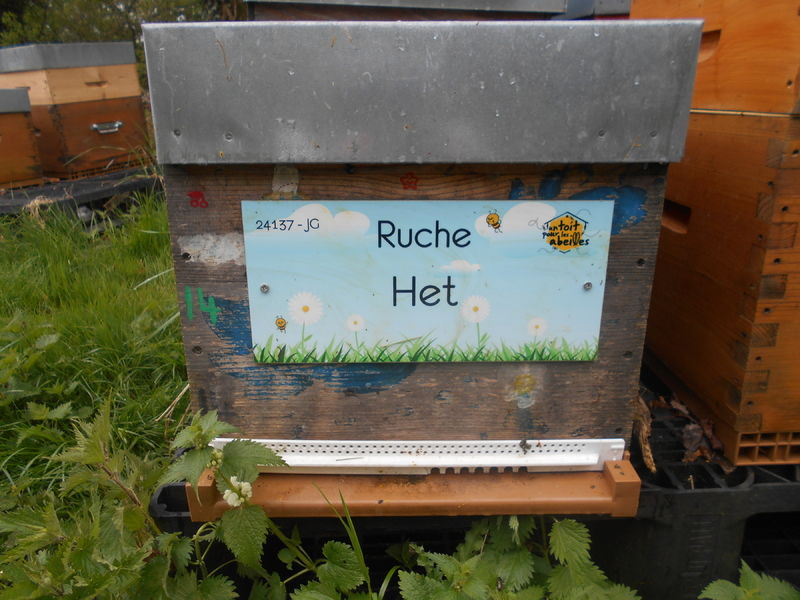 La ruche Het