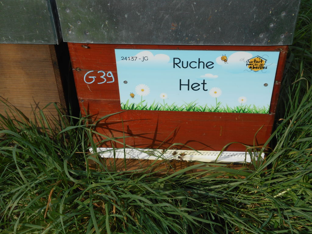 La ruche Het