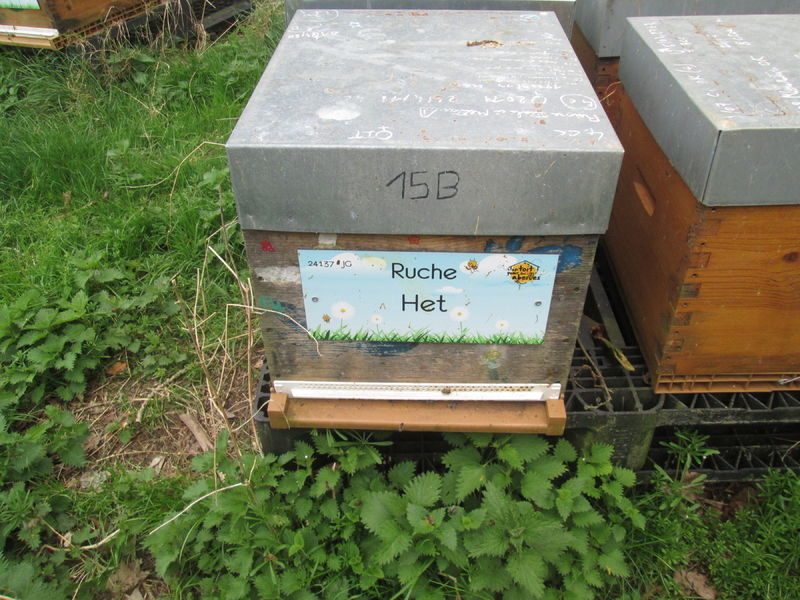 La ruche Het