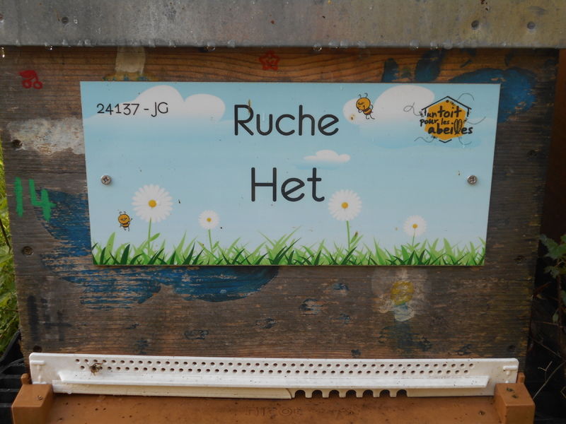 La ruche Het