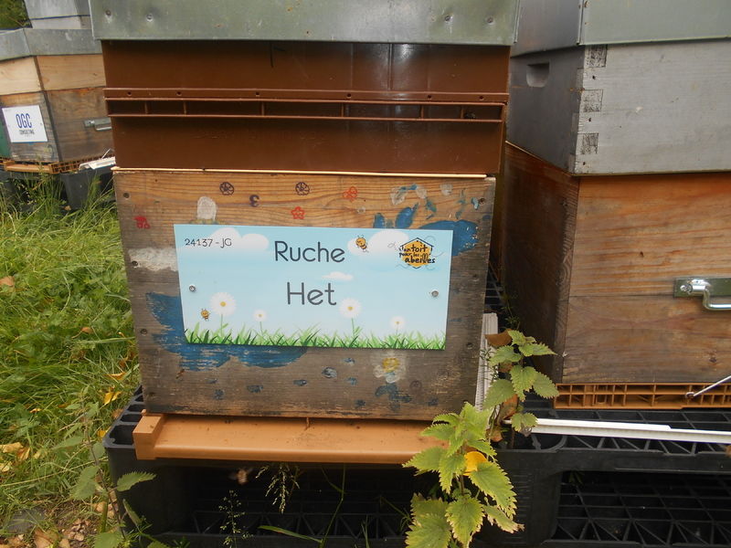 La ruche Het