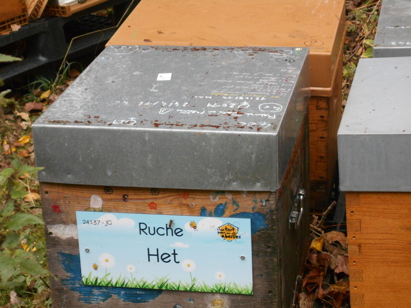 La ruche Het