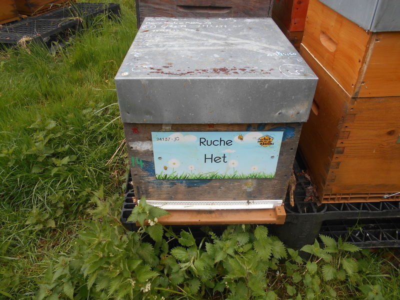 La ruche Het
