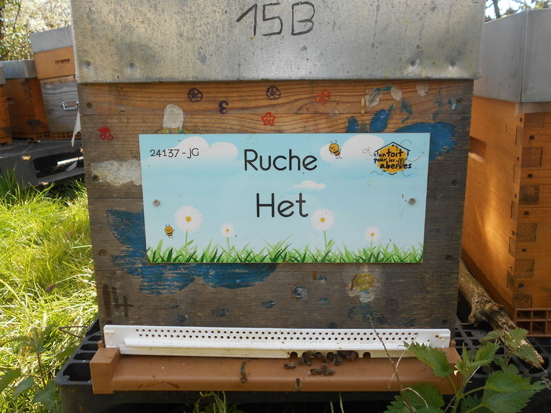 La ruche Het