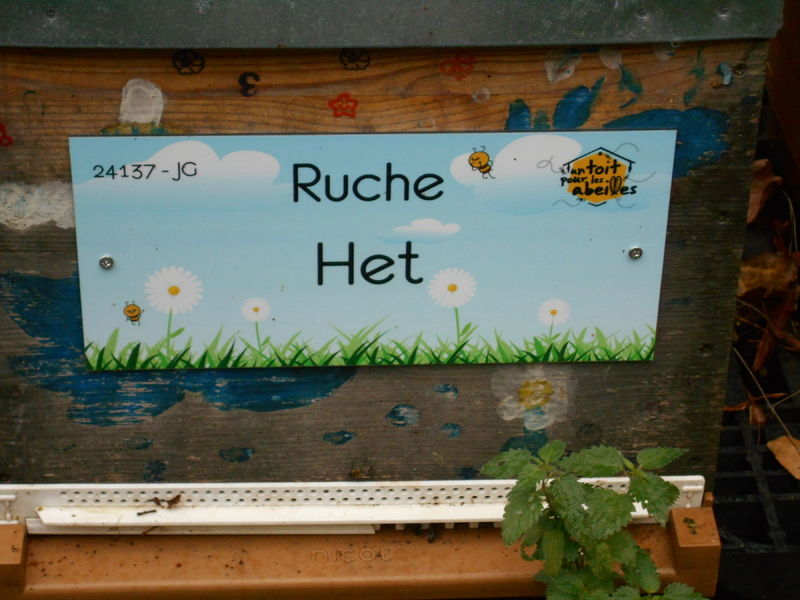La ruche Het