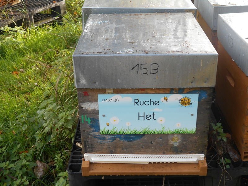 La ruche