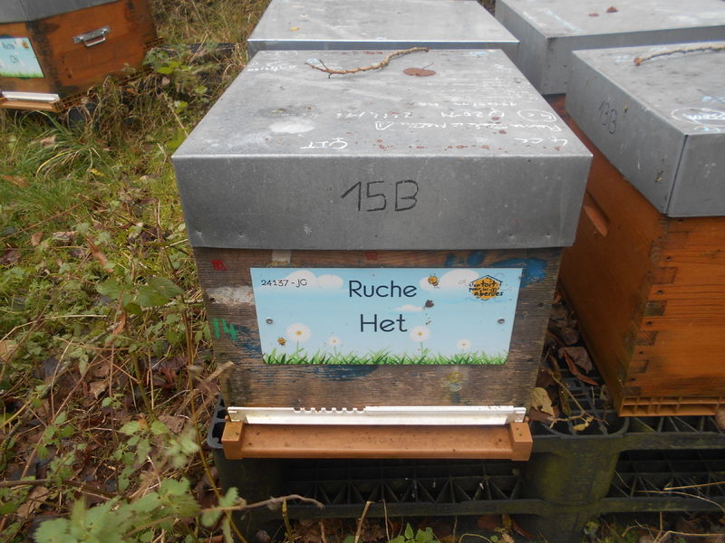 La ruche Het
